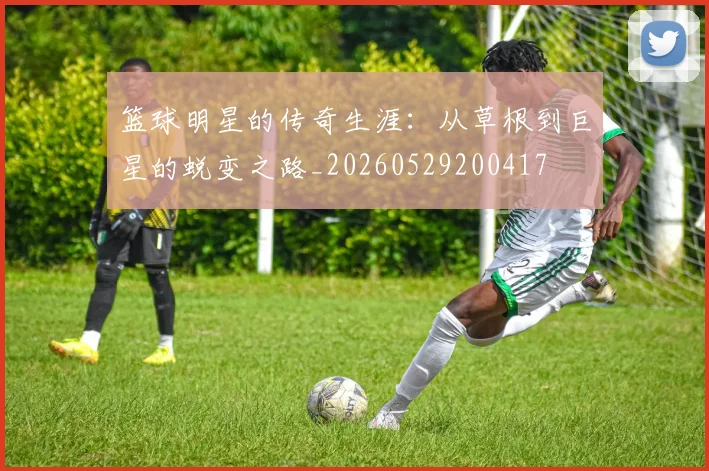 篮球明星的传奇生涯：从草根到巨星的蜕变之路_20260529200417
