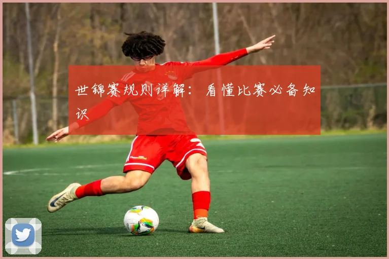 世锦赛规则详解:看懂比赛必备知识